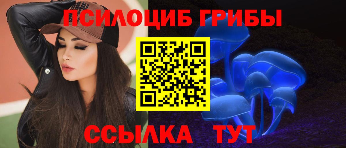 Псилоцибиновые грибы Cubensis Великие Луки
